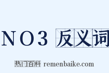 NO3反义词是什么意思的图片